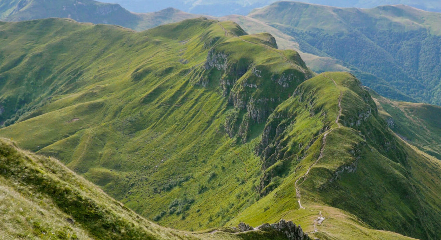 Racines gourmandes cantaliennes
