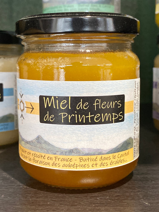 MIEL PRINTEMPS 250g Condat