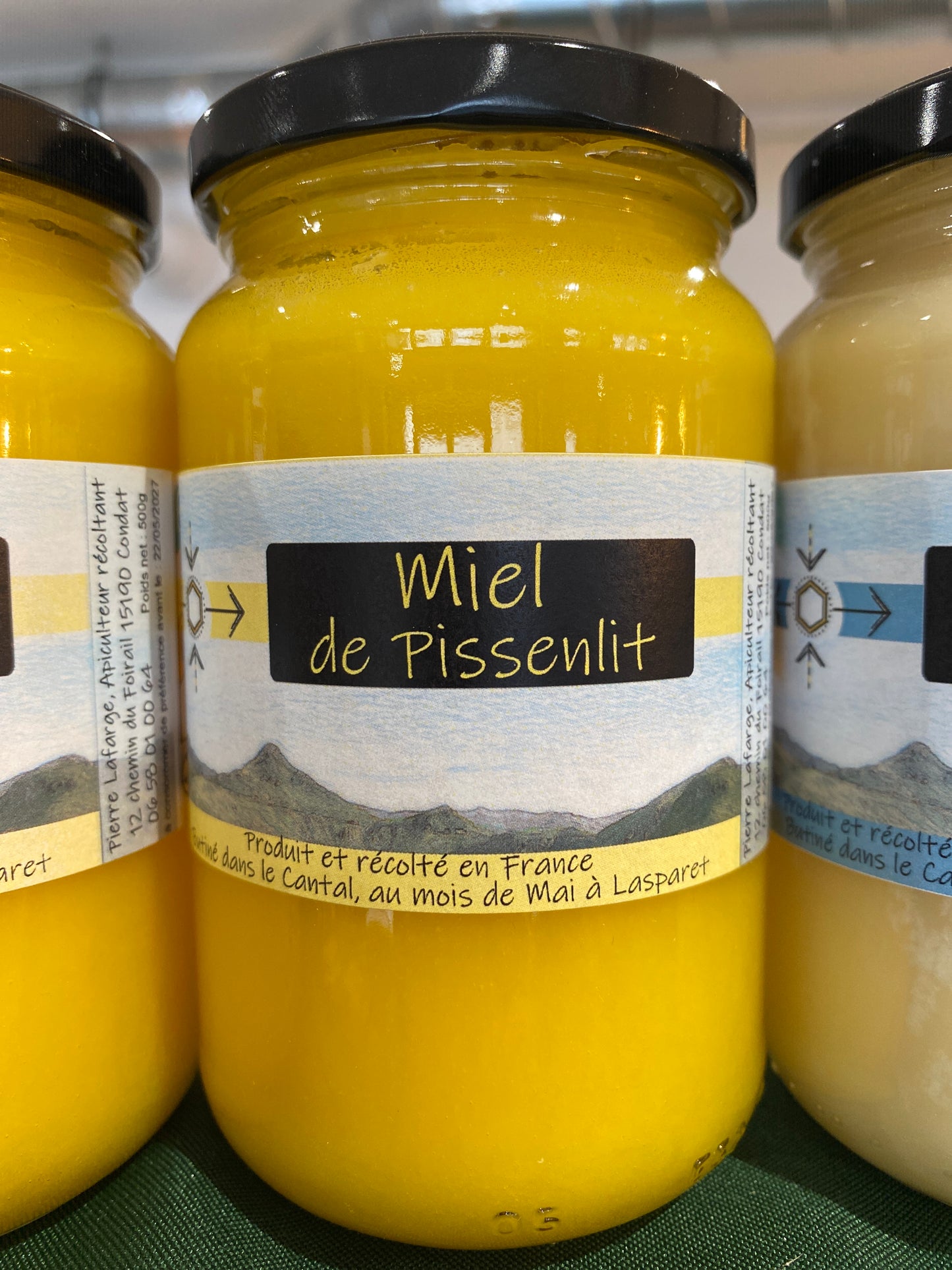 MIEL PISSENLIT 500g CONDAT